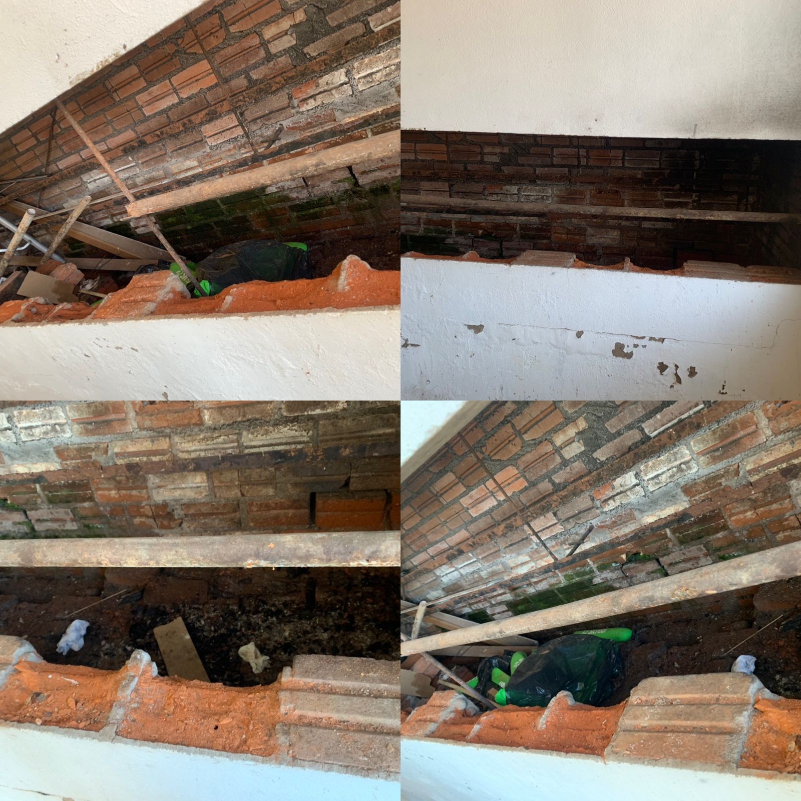 WhatsApp Image 2022-09-07 at 16.35.58.jpeg